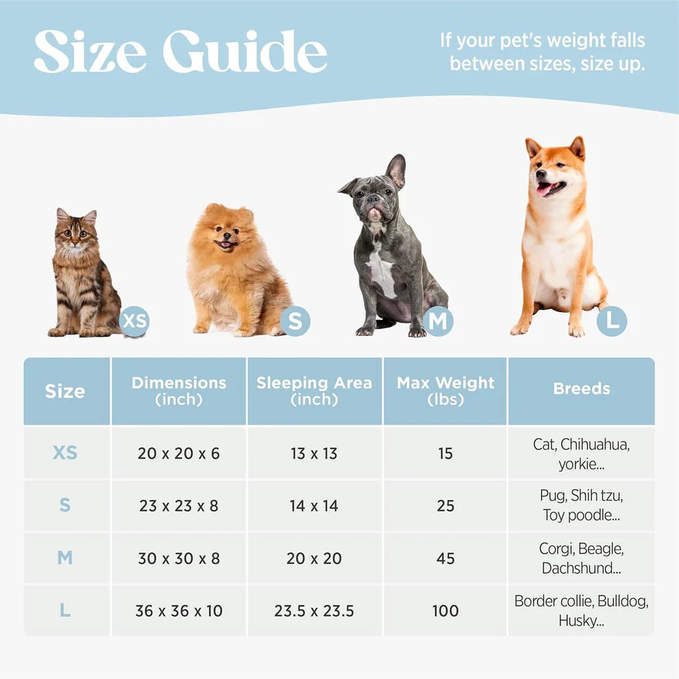 Lesure Beds For Dogs