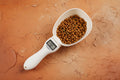 Precision Pet Nutrition Scale