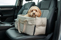 PetSafe Deluxe Console Car Seat for Small Dogs