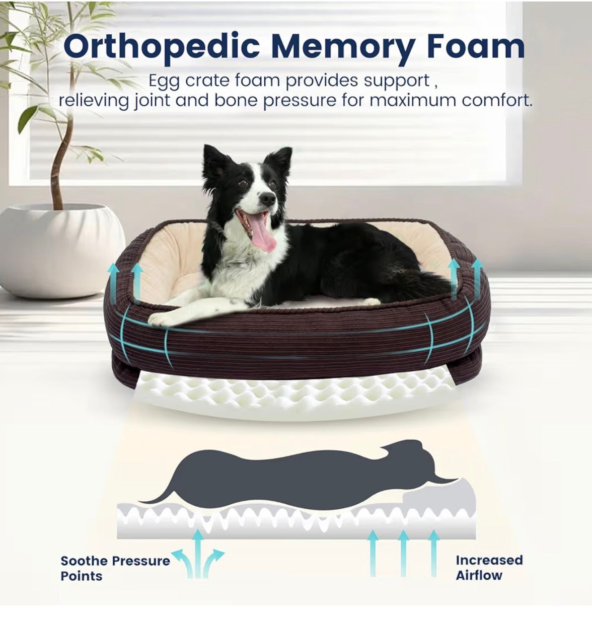 Miguel Orthopedic Dog Bed