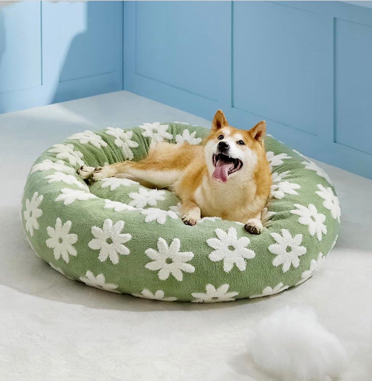 Lesure Beds For Dogs