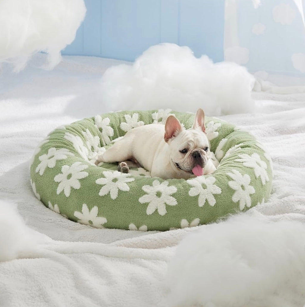 Lesure Beds For Dogs