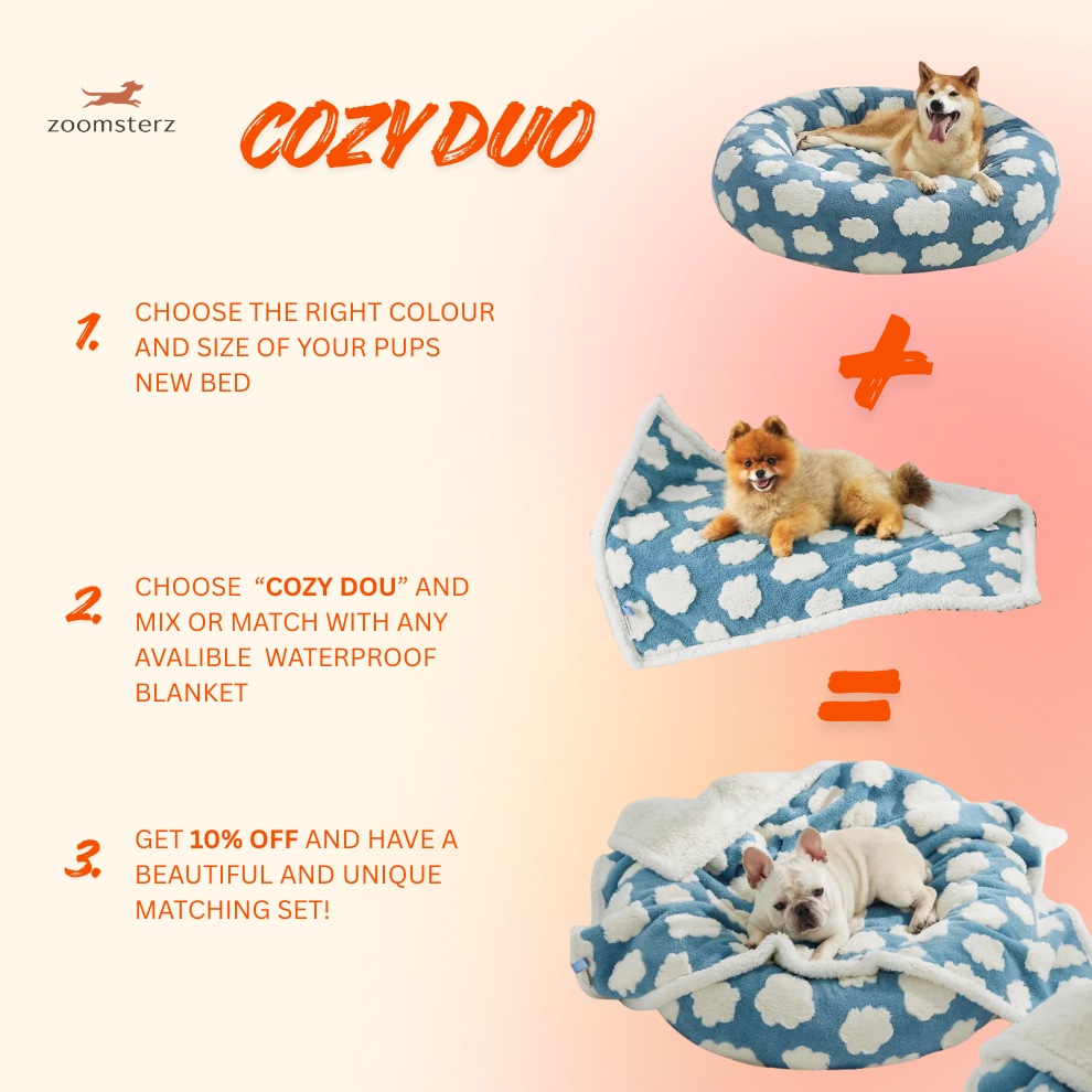 Lesure Beds For Dogs