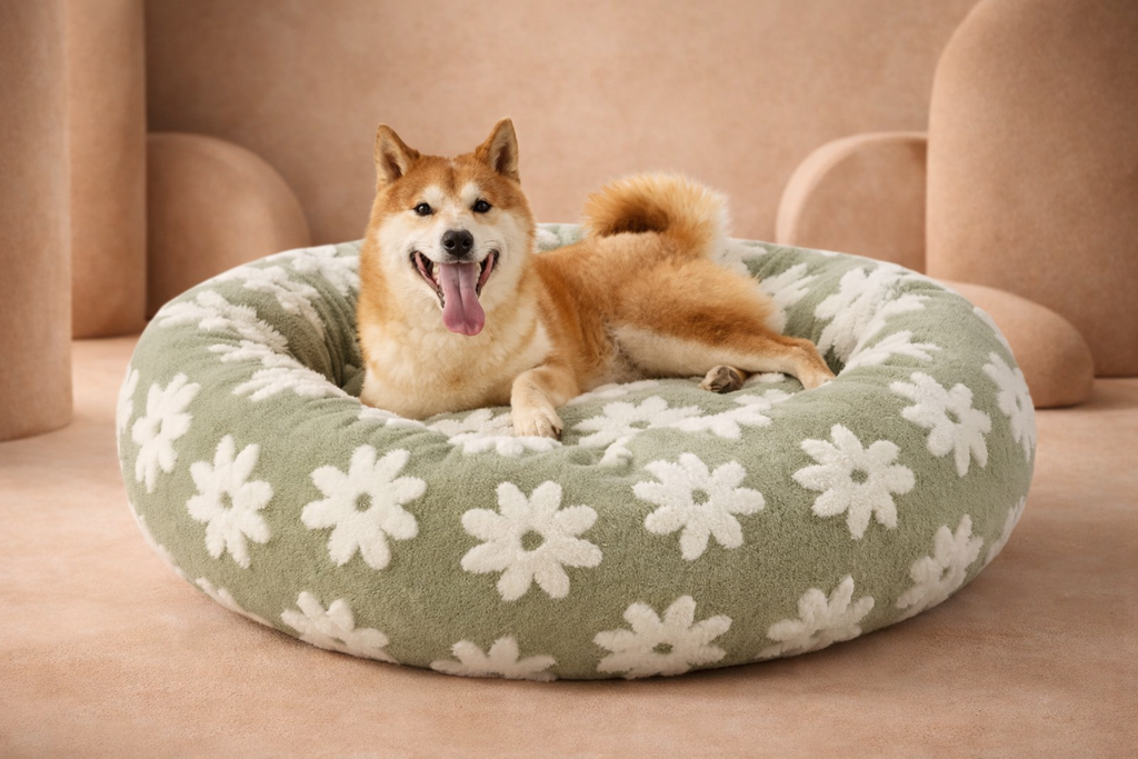 Lesure Beds For Dogs