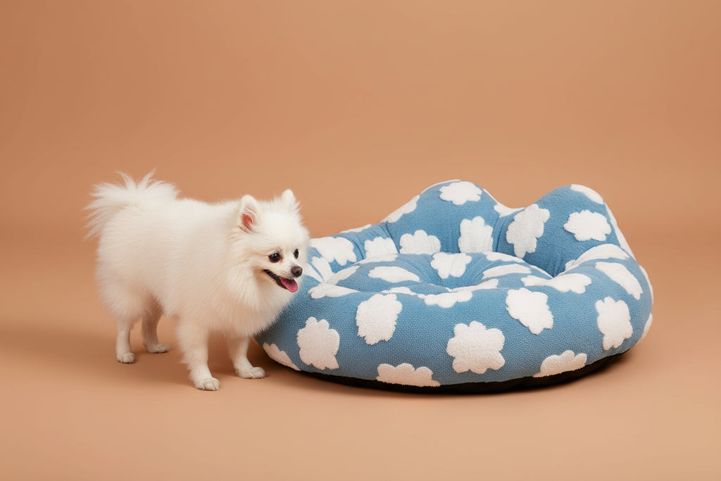 Elegant Waterproof Pet Haven