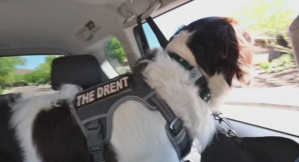 Deluxe Canine Car Seat Extender