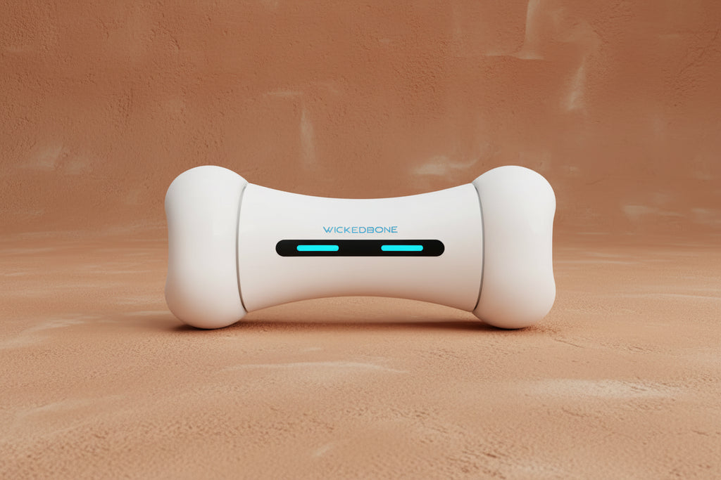 IntelliPlay Smart Bone