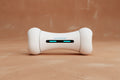 IntelliPlay Smart Bone